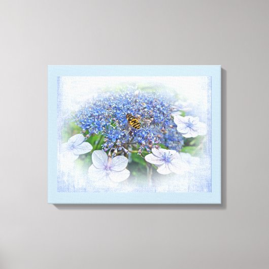 Blue Lace Pet Hydrangea Flowers Canvas Afdruk (Voorkant)
