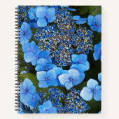 Blue Lacecap Hydrangea Carnet Floral (Devant)