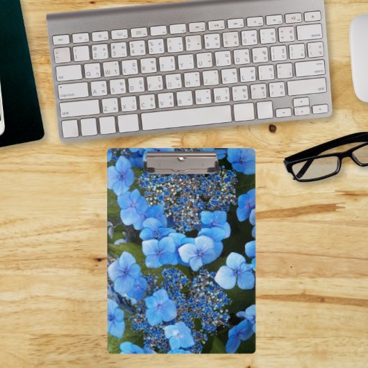 Blue Lacecap Hydrangea Floral Klembord