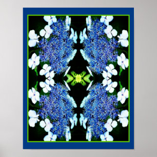 Blue Lacecap Hydrangea Flower Up Abstract Poster
