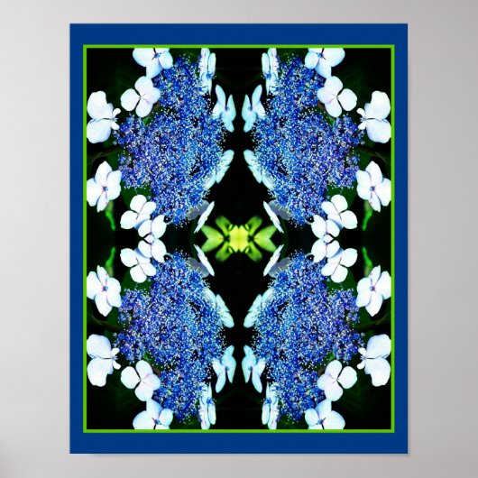 Blue Lacecap Hydrangea Flower Up Abstract Poster (Voorkant)