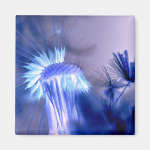 Blue Light Floral Print Square Magnet Magneet