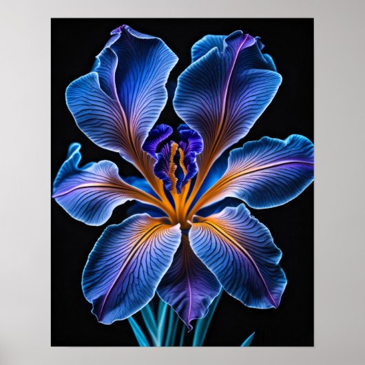 Blue Lily Poster (Voorkant)