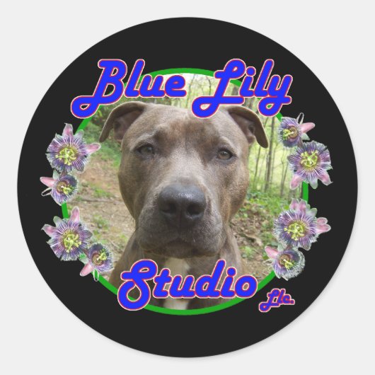Blue Lily Studio sticker (Voorkant)