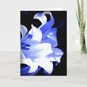Blue Lily Verjaardagskaart Kaart
