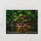Blue Limestone Park Delaware, Ohio Briefkaart (Voorkant / Achterkant)