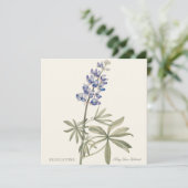 Blue Lupine by Mary Walcott (Staand voorkant)