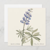 Blue Lupine by Mary Walcott (Voorkant / Achterkant)