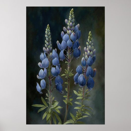 Blue Lupine Flower Art Print Poster (Voorkant)