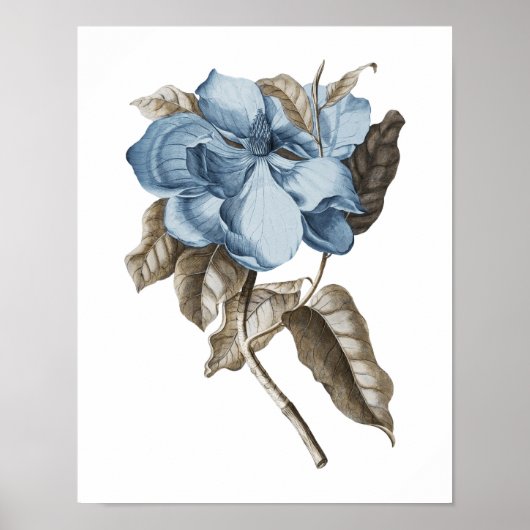 Blue Magnolia Botanical Traditional Wall Decor Poster (Voorkant)
