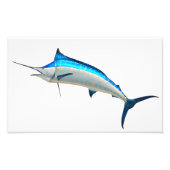 Blue Marlin Game Fish Foto Afdruk (Voorkant)