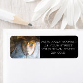 Blue Masque Etiket (Insitu)