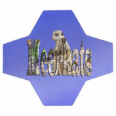 Blue Meerkats, Voetbal (Enkel)