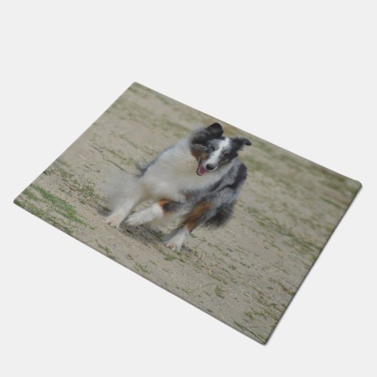 Blue Merle Australian Shepherd Deurmat (Schuin)