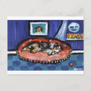 Blue Merle Australian Shepherd in bed Briefkaart
