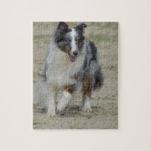 Blue Merle Australian Shepherd Legpuzzel