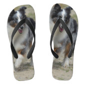 Blue Merle Australian Shepherd Teenslippers (Voetbed)