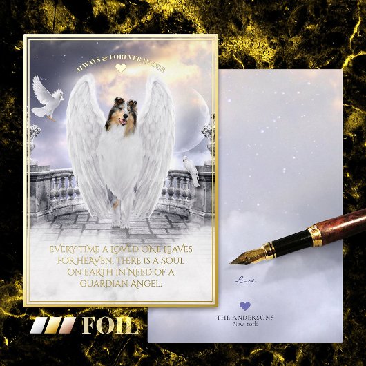 Blue Merle Collie Angel - Carte d'huile pour anima