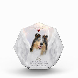 Blue Merle Collie Angel Portrait - Pet Memorial Fotoblokken