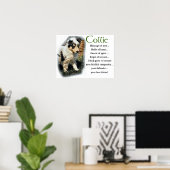 Blue Merle Collie Gifts Poster (Thuiskantoor)