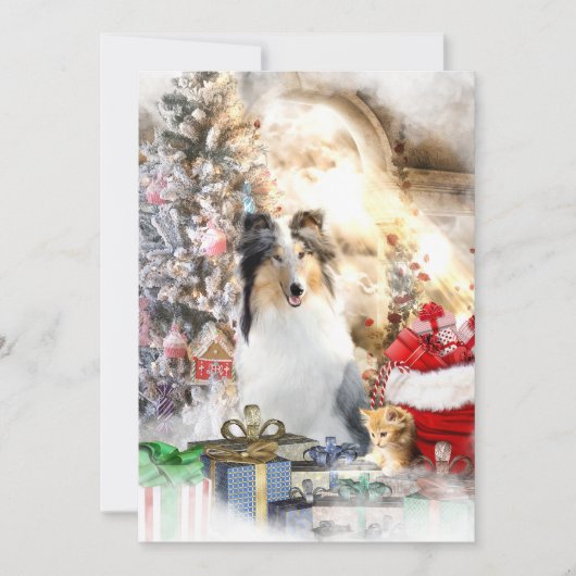Blue Merle Collie & Kitty, Joyeux Noël - Carte (Devant)