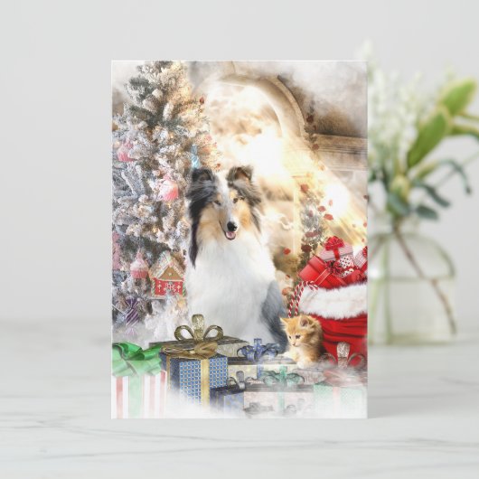 Blue Merle Collie & Kitty, Joyeux Noël - Carte (Debout devant)