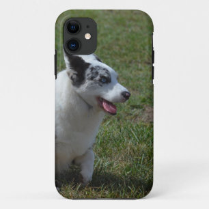 Blue Merle Corgi Dog iPhone 11 Hoesje