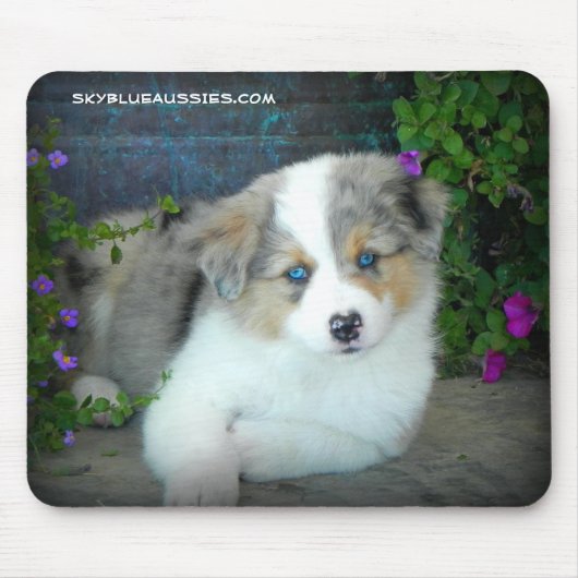 Blue Merle Puppy Muismat (Voorkant)