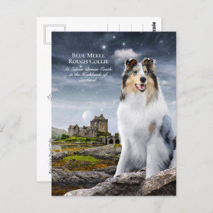 Blue Merle Rough Collie at Eilean Donan Castle - Briefkaart