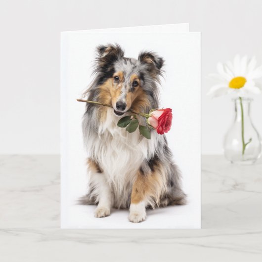Blue Merle Sheltie Valentijn – Teder Devotie Kaart (Kleine Plant)