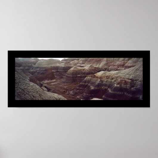 Blue Mesa Trail, Petrified Forest Poster (Voorkant)