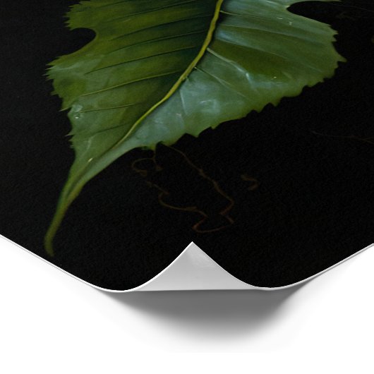 Blue Morning Glory Flowers Art Print Poster (Hoek)