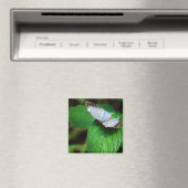 Blue Morpho 112 Magnet Magneet (Insitu (Vaatwasser))