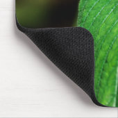 Blue Morpho 112 Mousepad Muismat (Hoek)