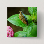 Blue Morpho 143 Button (Voorkant)