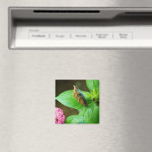 Blue Morpho 143 Magnet Magneet (Insitu (Vaatwasser))