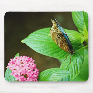 Blue Morpho 143 Mousepad Muismat