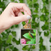 Blue Morpho 143 Sleutelhanger (Hand)