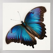 Blue Morpho Butterfly Art Print Poster (Voorkant)