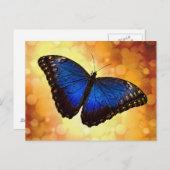 Blue Morpho Butterfly Briefkaart (Voorkant / Achterkant)