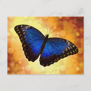 Blue Morpho Butterfly Briefkaart