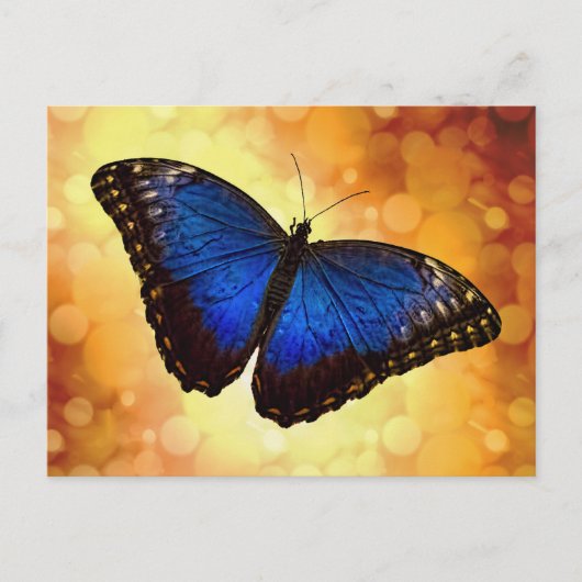 Blue Morpho Butterfly Briefkaart (Voorkant)