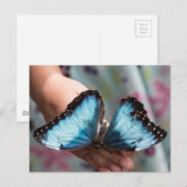 Blue Morpho Butterfly Briefkaart (Voorkant / Achterkant)
