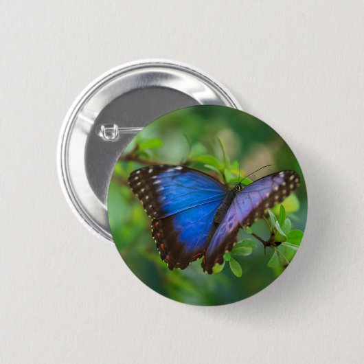 Blue Morpho Butterfly Button (Voorkant /achterkant)