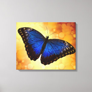 Blue Morpho Butterfly Canvas Afdruk