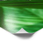 Blue Morpho Butterfly Floral Natuur Art Foto Afdruk (Hoek)