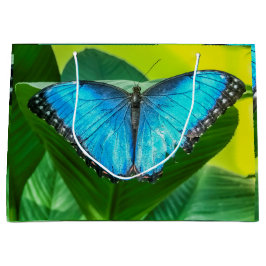Blue Morpho Butterfly Floral Natuur Art Groot Cadeauzakje