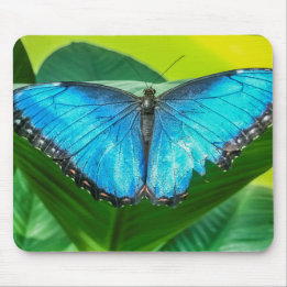 Blue Morpho Butterfly Floral Natuur Art Muismat