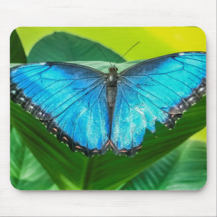 Blue Morpho Butterfly Floral Natuur Art Muismat
