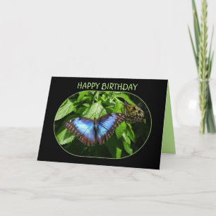 Blue Morpho Butterfly Happy Birthday Kaart
